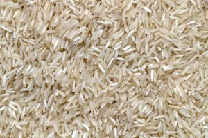 proteine de riz